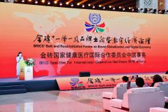 金砖⁺ 一带一路品牌出海暨数字经济论坛在济南成功举行