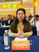 共拓“金砖⁺一带一路”新蓝海 杭州代表团与金健委中国事务深度洽谈合作